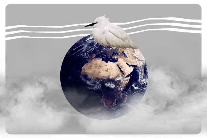 Судьба мирного плана по Украине, «материнский штраф» и обман на сайтах знакомств. Главное за 21 ноября