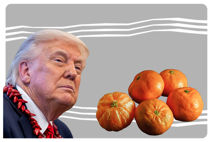 Новые переговоры Трампа с Путиным, ликвидация лидера РДК* и снежный апокалипсис на Камчатке. Главное за 27 декабря