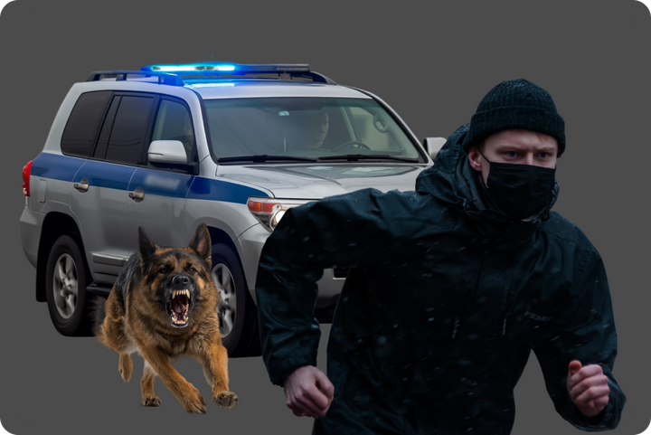 Польский след в покушении на генерала, единый реестр банковских карт и кровавые сосульки: главное за 9 февраля