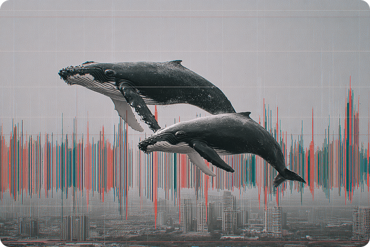 «Народная» биржа. Правда ли в России 40 миллионов инвесторов в акции