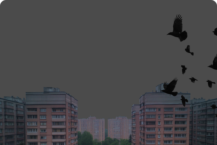 Главное за 5 июля. Блэкаут в городах Крыма, увеличение отпуска для россиян с детьми и «огуречные» дожди