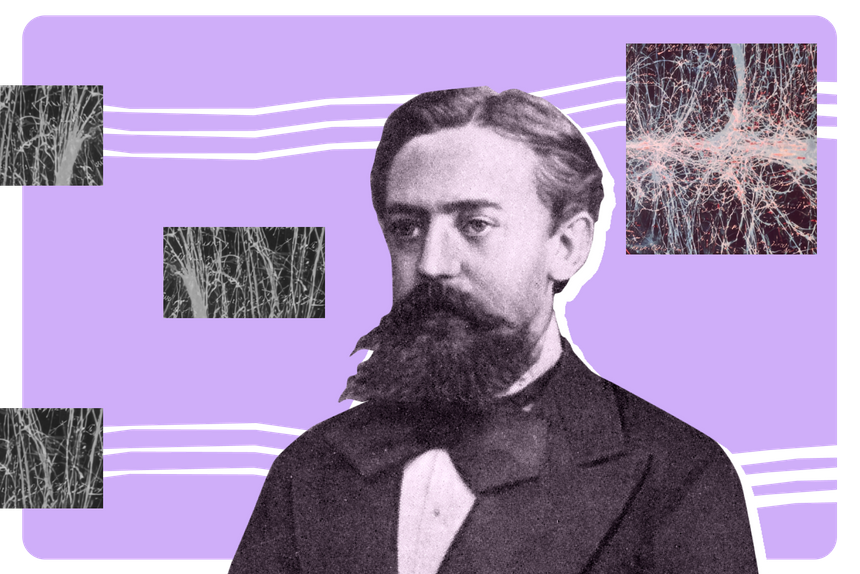 Андрей Марков